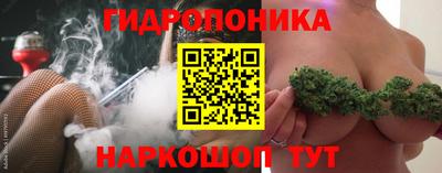 соль ск Шелехов