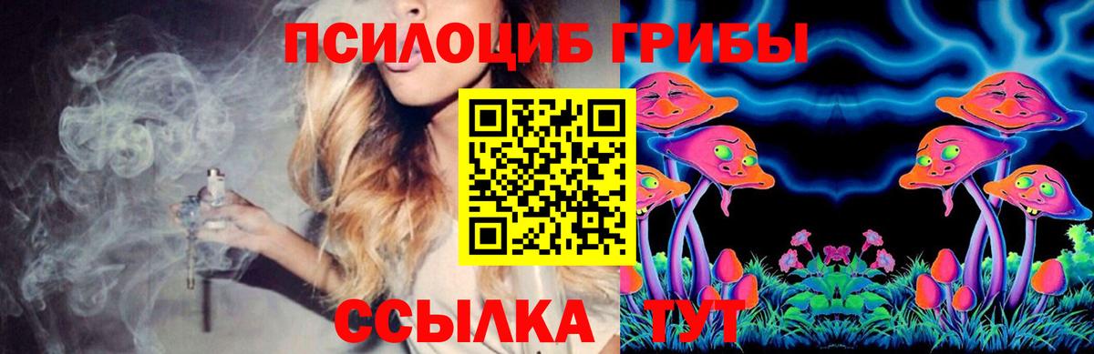 Псилоцибиновые грибы Psilocybine cubensis  Вход с VPN  Артём 